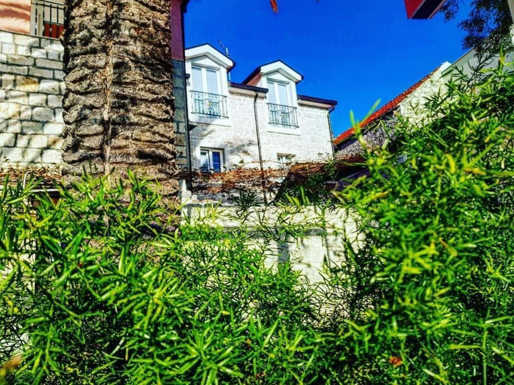 Apartmani Marina Gradac غراداك المظهر الخارجي الصورة