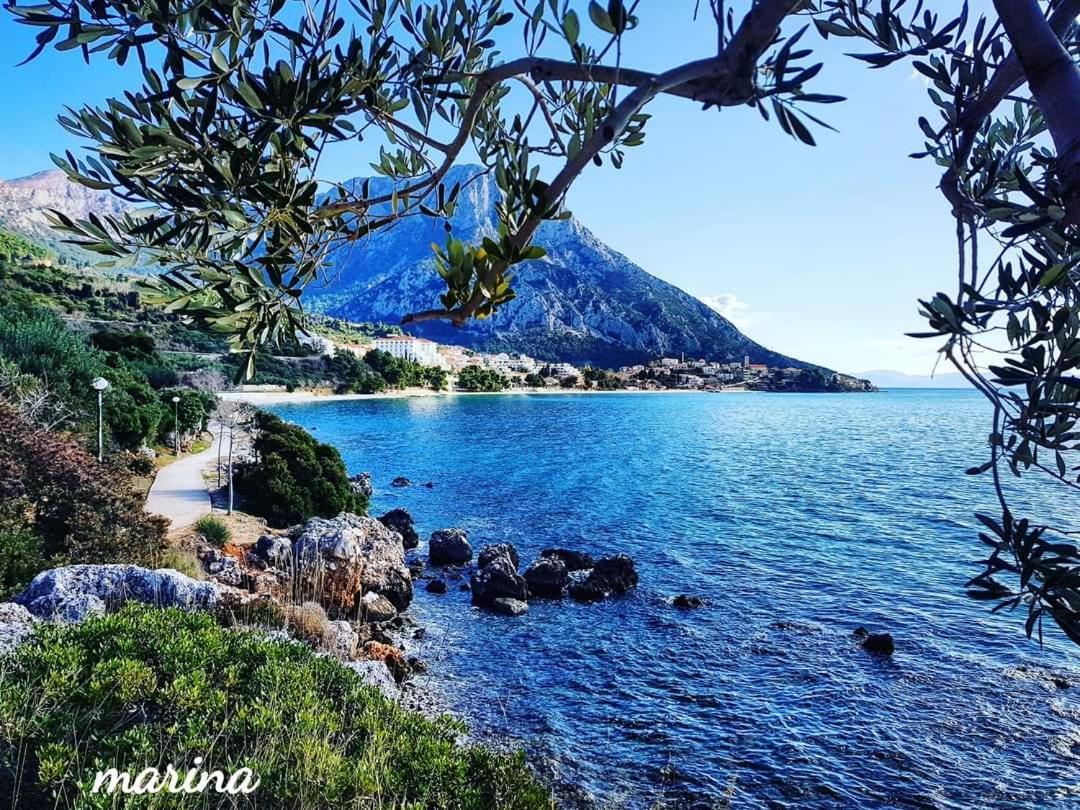 Apartmani Marina Gradac غراداك المظهر الخارجي الصورة