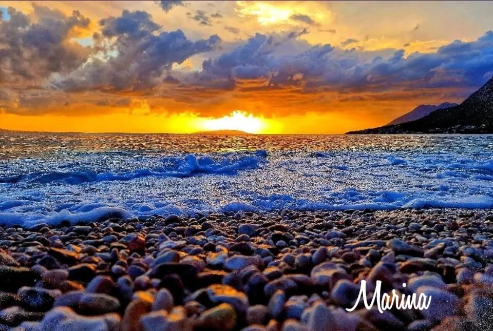 Apartmani Marina Gradac غراداك المظهر الخارجي الصورة